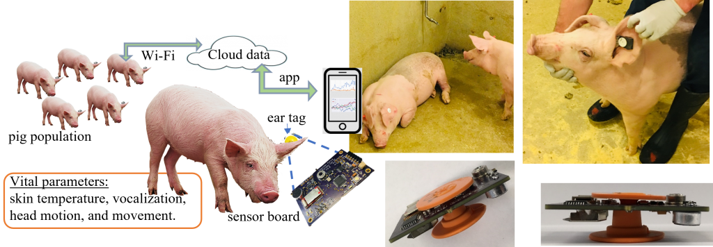Ear Tag Sensors for monitoring pig behavior